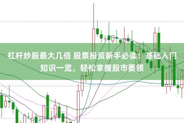 杠杆炒股最大几倍 股票投资新手必读：基础入门知识一览，轻松掌握股市要领