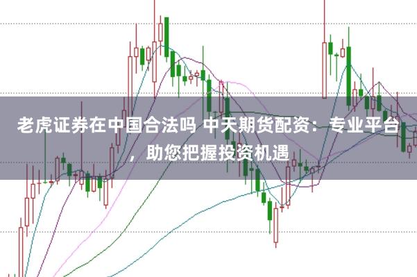 老虎证券在中国合法吗 中天期货配资：专业平台，助您把握投资机遇