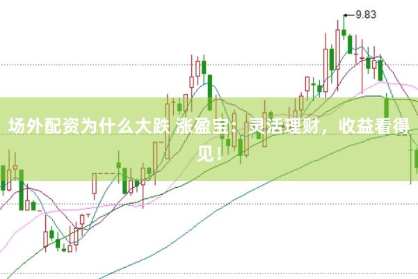场外配资为什么大跌 涨盈宝：灵活理财，收益看得见！