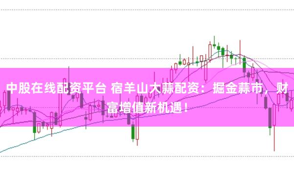 中股在线配资平台 宿羊山大蒜配资：掘金蒜市，财富增值新机遇！