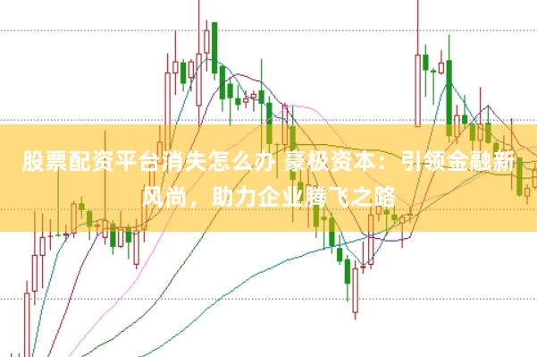 股票配资平台消失怎么办 豪极资本：引领金融新风尚，助力企业腾飞之路