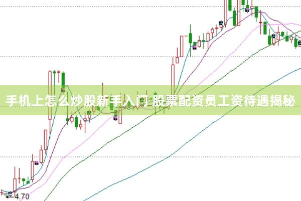 手机上怎么炒股新手入门 股票配资员工资待遇揭秘