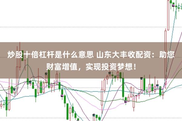 炒股十倍杠杆是什么意思 山东大丰收配资：助您财富增值，实现投资梦想！