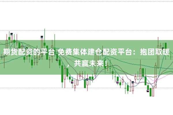 期货配资的平台 免费集体建仓配资平台:抱团取暖,共赢未来!