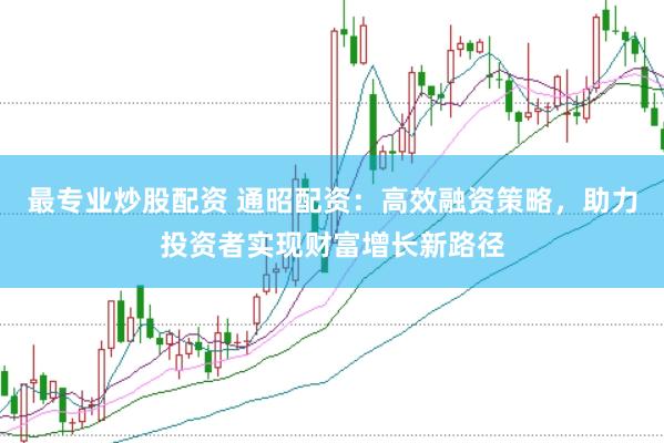 最专业炒股配资 通昭配资：高效融资策略，助力投资者实现财富增长新路径