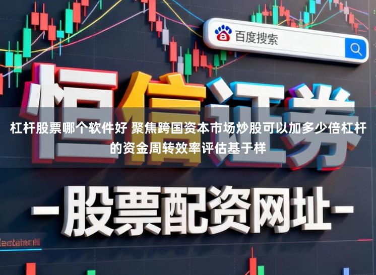 杠杆股票哪个软件好 聚焦跨国资本市场炒股可以加多少倍杠杆的资金周转效率评估基于样